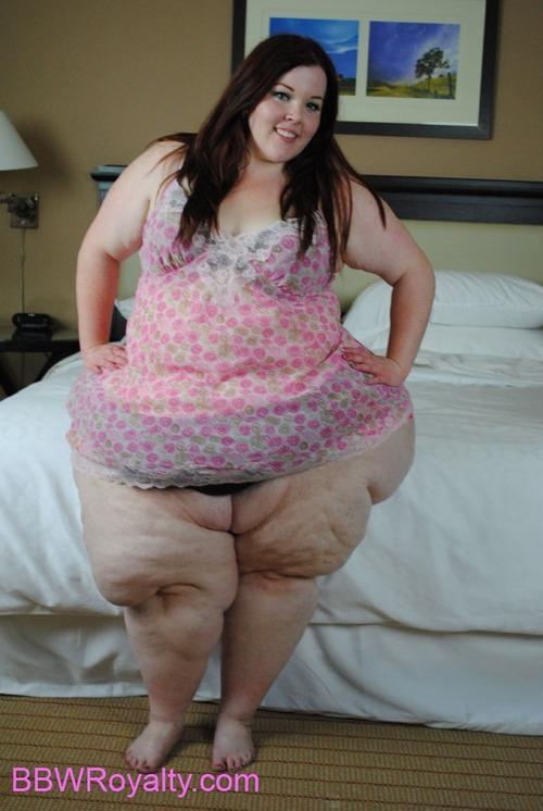thecutewhale:  They are a special breed, these men who seek to hand feed super fat