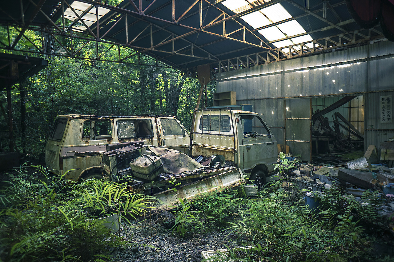 elugraphy:Abandoned   playground in forest 01.