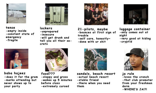 inanycase-itwasjustpersonal:which aspect of the disastrous fyre festival are youtag urself, i’m lugg