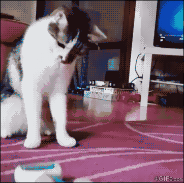 sonandheirofnothinginparticular:   