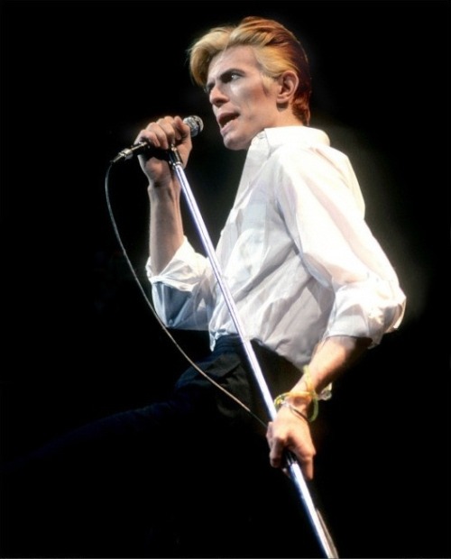 yourfluffiestnightmare: glitterypin: The 10 most beautiful photos of David Bowie it’s back!