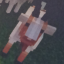 kingtheturtle