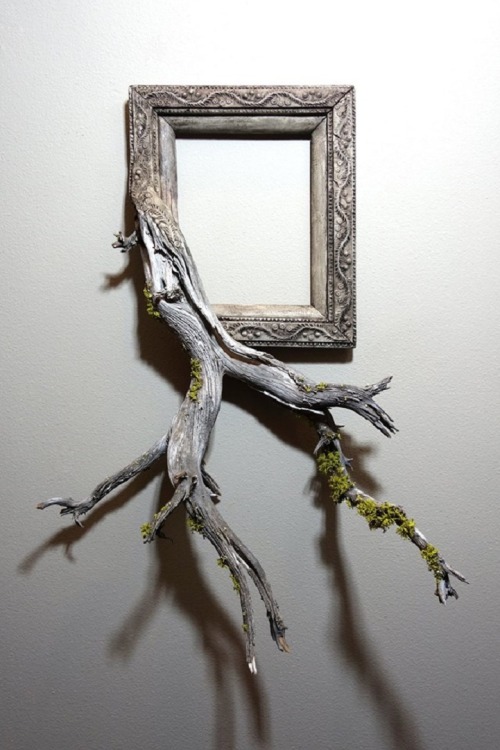 sibilia: mymodernmet: Salvaged Tree Branches Seamlessly Emerge from Antique Picture Frames @mrozna l