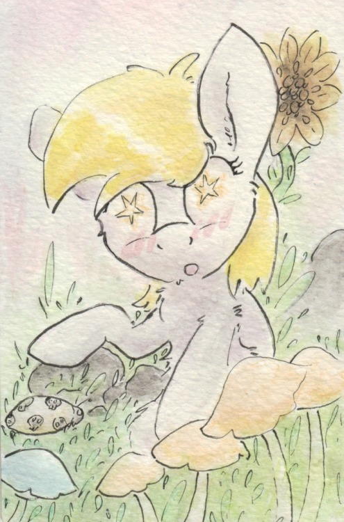 slightlyshade:Durrrrpy.…Oo;; Meeps??