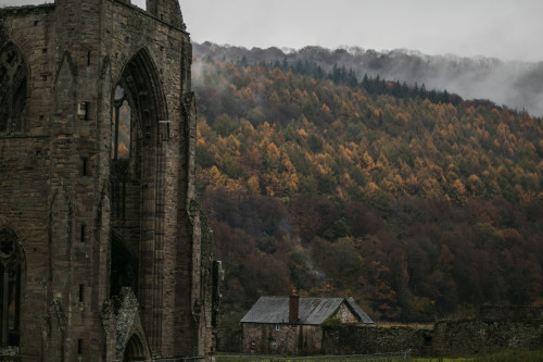 Garettphotography: Tintern Abbey - Monmouthshire, Wales | Garettphotography