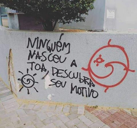 luzdmorena