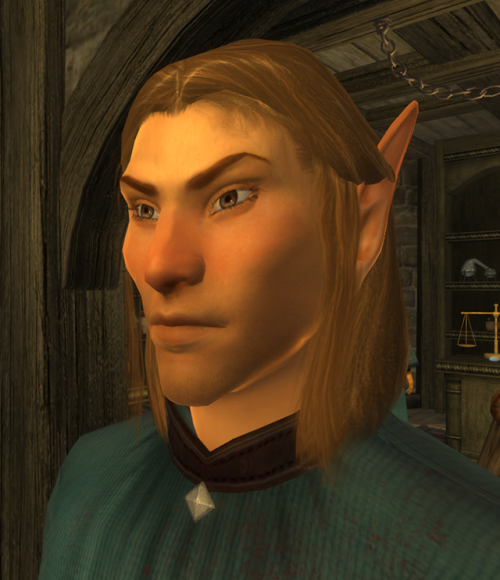 elfprince:who would i be if my hero of kvatch wasn’t a blushy altmer nerd mage?