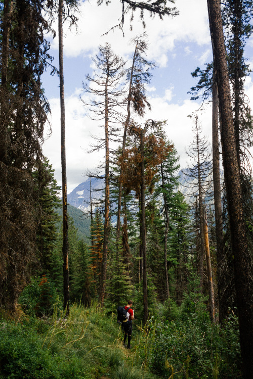 West Glacier, Montana.