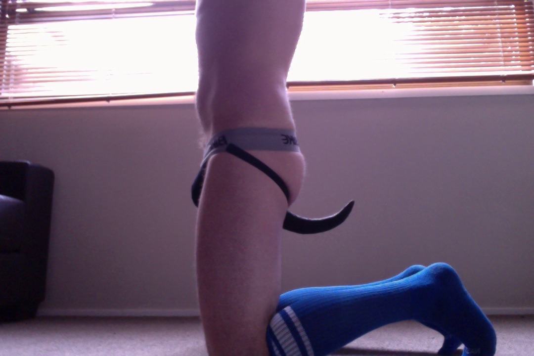atlaspup:  jordancole69:  Always love getting down on all fours. Just need some proper