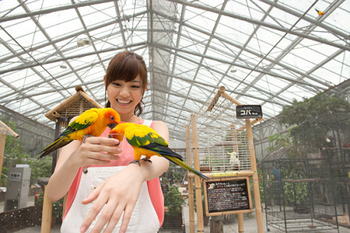 omiansary:  natalie.mu/music/pp/nogizaka46_06/page/2 Nanase  2013-06-13 掛川花鳥園 part 1  #西野七瀬 #