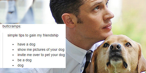 stripperdameron:  tom hardy + dogs (oops)   post of the millennium