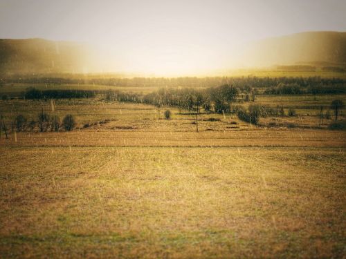 Spring, Springtime, Rain, Sun, Sunset, Sunset Silhouettes, Landscape, Taking Photos, Taking Pictures