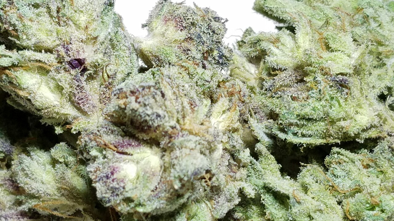 420stationusa:  Stay High And Check Out Our Store Here!!