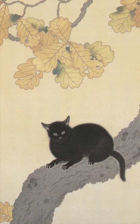 Hishida Shunso - Kuroki Neko - 1910 - via Wikimedia