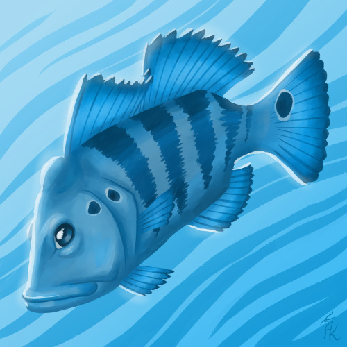 ENGWell, finally we have a fish XD I&rsquo;m not too comfortable drawing fish, so this was an intere