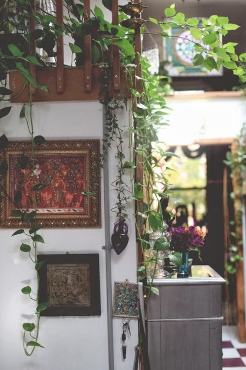 bohemianhomes:  Bohemian Home: Interior of Temple of the lotus yoga studio 