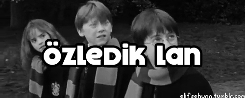cadininkitabi:  Özledik lan :((