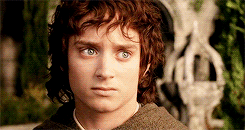 lord of the rings daily
