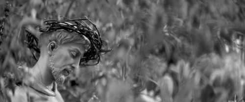vltragashinferno: The Eyes of My Mother (2016)