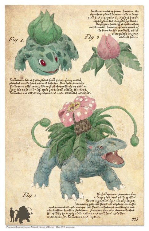 retrogamingblog: A Natural History of Pokemon by Bogelbearart