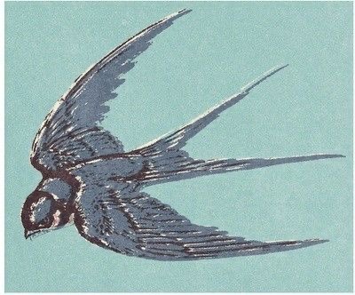 Little Bird, Bluebird