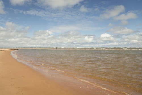 Chasing sand dunes in PEI.