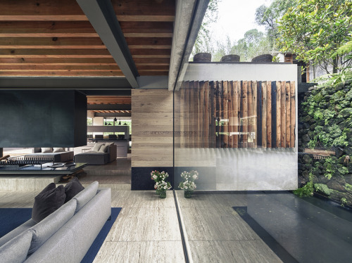 kateoplis:  House Maza 