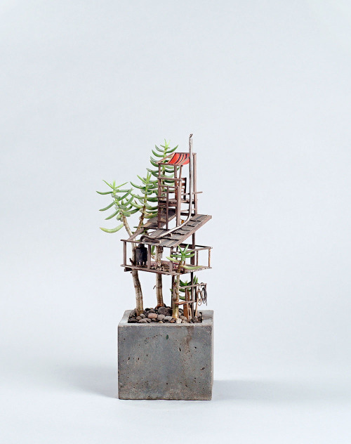 88floors:Miniature Treehouse Sculptures Built Around Houseplants by Jedediah Voltz