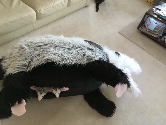 nine foot plush possum