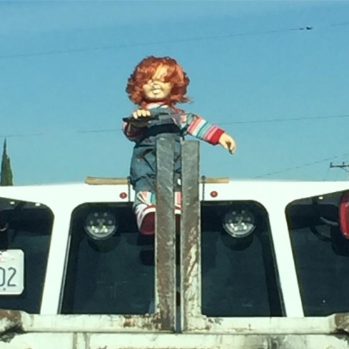 Look what pulled into our parking lot today at #work #chucky #trucky #apirateslifeforme #pizza #pizz