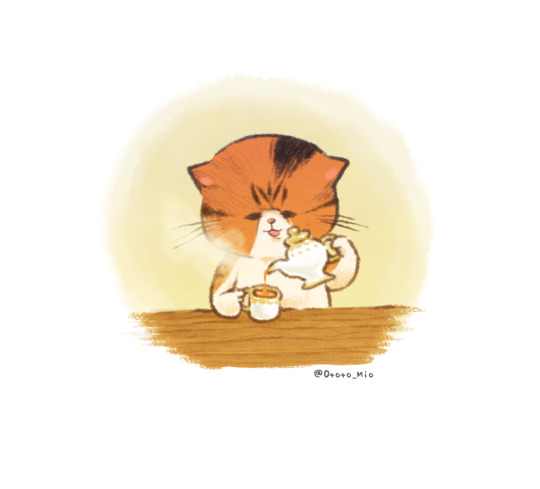 エキゾチックショートヘア Explore Tumblr Posts And Blogs Tumgir