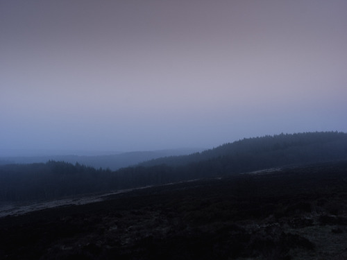 Evening II, SomersetHasselblad X1D II 50C + XCD 30mmPhotographed by Freddie Ardley