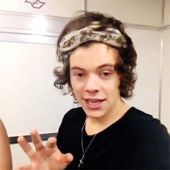 blamestyles:  + 