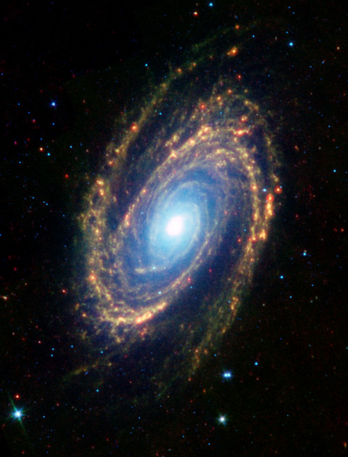 One of the brightest galaxies in the sky is similar in size to our Milky Way, is the Spiral Galaxy M