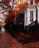 XXX batdetectives:  Hello, Autumn »  Fall photo