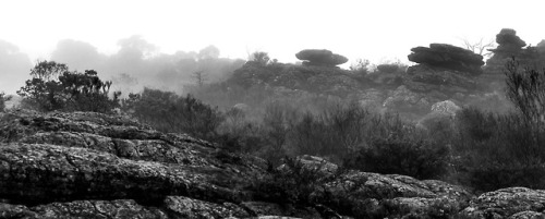 The PinnaclesRambling thru the Grampians on a misty winter&rsquo;s morning- June 2018