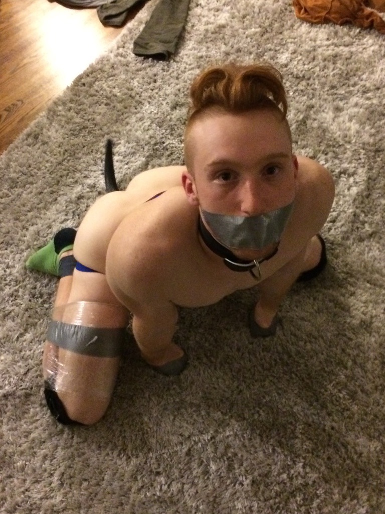pupruben: First post! #pup #me 