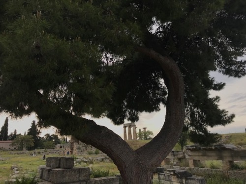 gaialeaf:Ancient Corinth