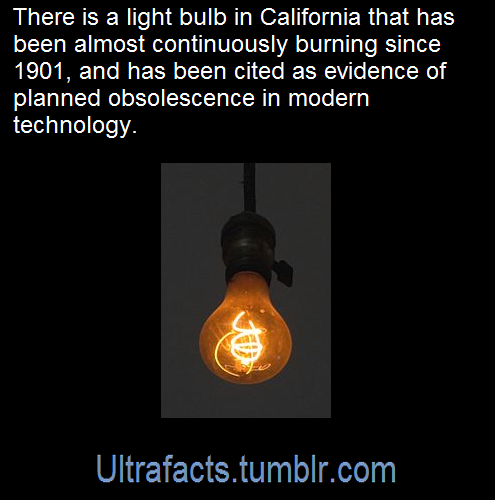ultrafacts:    The Centennial Light is the world’s longest-lasting light bulb,