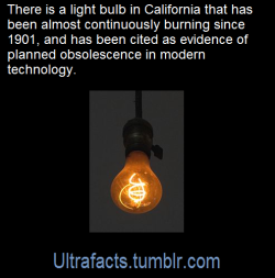 ultrafacts:    The Centennial Light is the