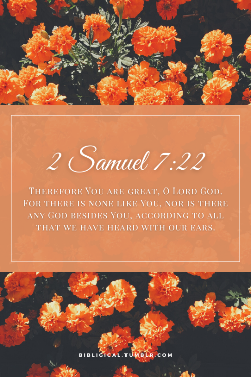 2 Samuel 7:22Therefore You are great, O Lord God. For there is none like You, nor is there any God b