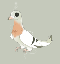 meredies:  A pigeon boop.slapped a seagull