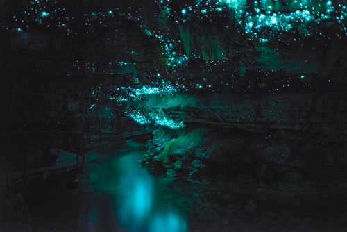 Porn Pics nubbsgalore:the waitomo limestone caves on