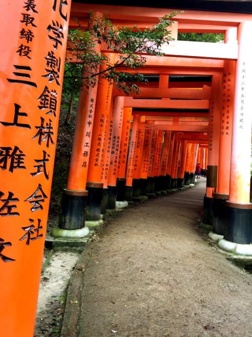Fushimi Inari Taisha, Kyoto photos by Kobalt