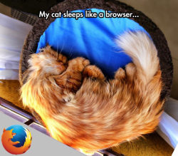 funnyandhilarious:  Meowzilla FirefoxFunny SMS »Funny Pics »