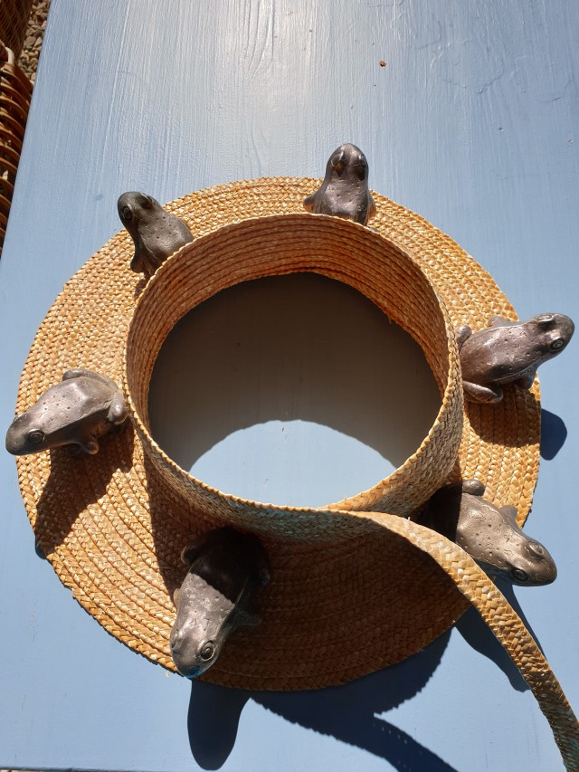 an above view of the crownless hat on top of a blue table, small metal frogs are weighing down and flattening the brim