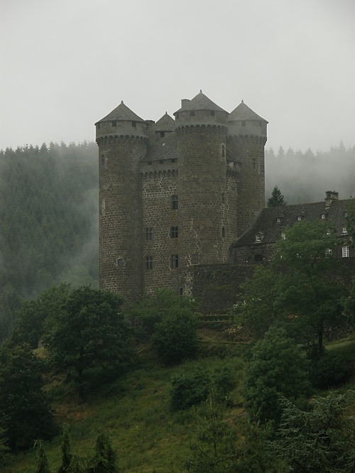 medieval-woman: château d'Anjony / Anjony castle by OliBac  The fog vanishing at last