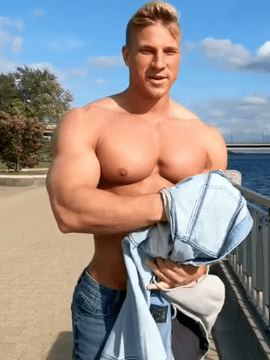 shreddedgifs:hello