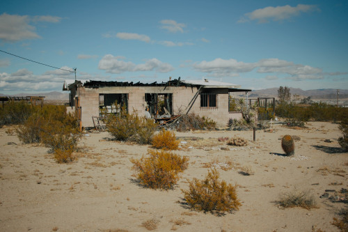 matthewgrantanson:Smoldering, Joshua Tree – December 28th, 2020Instagram: @matthewgrantanson