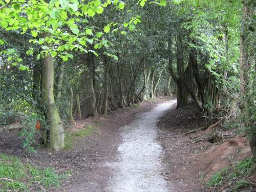 Bridleway near Meriden Shafts, Borough of Solihull